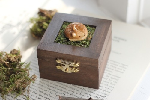 ash-elizabeth-art: This small wooden box features a miniature fawn sitting atop a bed of moss. The f