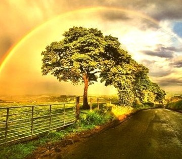 After The Storm, Louisville, Kentucky