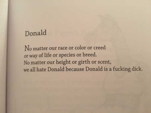 helly-watermelonsmellinfellon: pixelephant: this old bo burnham poem is oddly appropriate in 2016 It