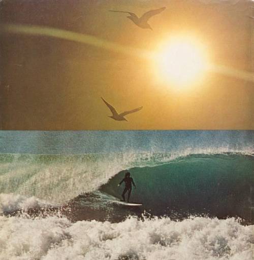 aestheticdivision:1970 O'Neill Ad w/ Jack O'Neill surfing.
