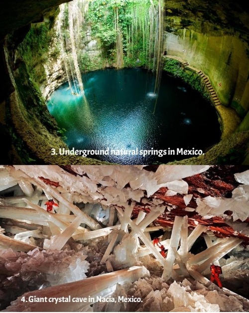 suck-up-the-rainbows0princess: slothmastersatan: lalnascastle: IF YOU DONT GET EXCITED OVER NATURE T