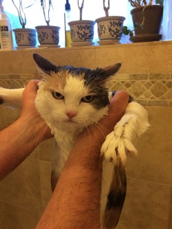 awwww-cute:  Somebody isn’t a fan of bath time