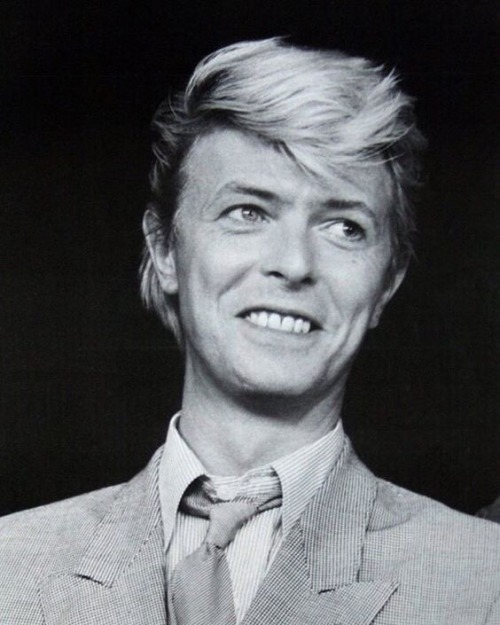 greeneland27: Good morning. Normal Bowie service will be resumed asap! 