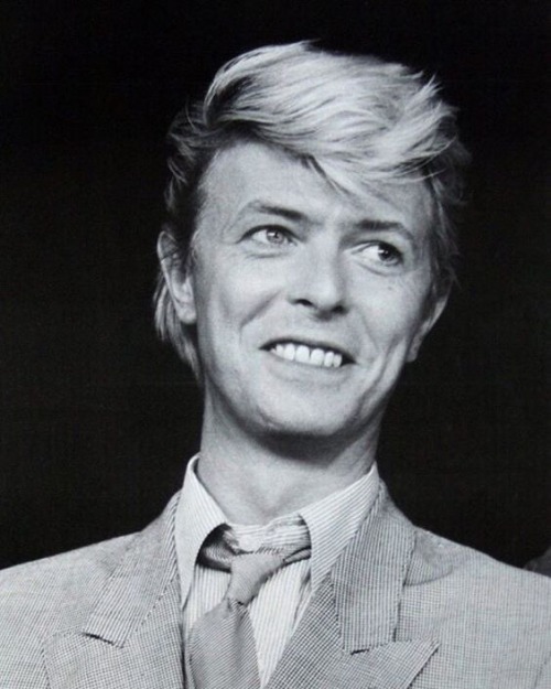 greeneland27: Good morning. Normal Bowie service will be resumed asap!