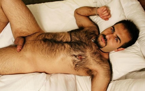 Hairy Men Heaven