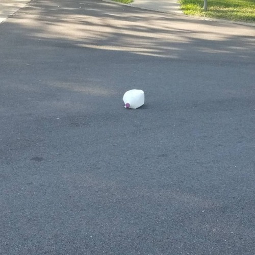 Why Was The Milk Jug In The Street? No One Knows It Story. Or Seems To Care. #stuffinthestreet (at Vineyards