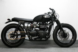 Triumph Bikes