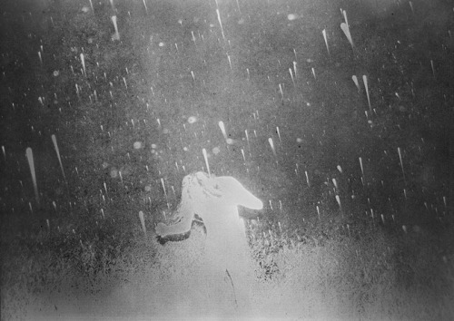 arpeggia:  Daisuke Yokota - Back Yard, 2011 
