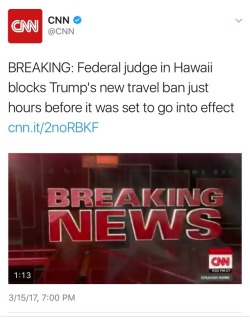 lilyliqueur: weavemama:  weavemama: Hawaii is the literal definition of that woke best friend who doesn’t take any bullshit from that racist headass in history class.  In case anyone might be confused, Hawaii halted the ban not just for Hawaii, but