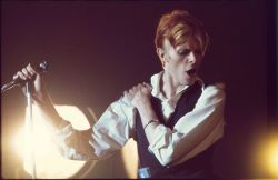 agelessphotography:David Bowie, Wembley Auditorium, Andrew Kent, 1976