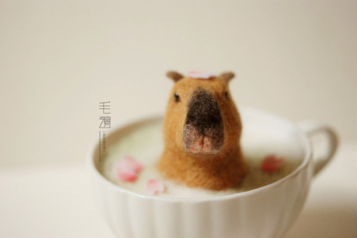  Capybara Japanese Cherry au Lait  ▋Little Animals in the Cup of SoupSculpture12 x 10 x 9 cm ( inc