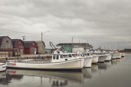 Malpeque Harbor, PEI