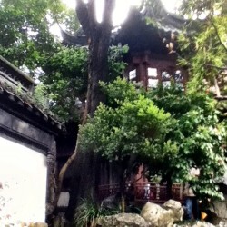 Yayuan garden. Stunning. #shanghai #china