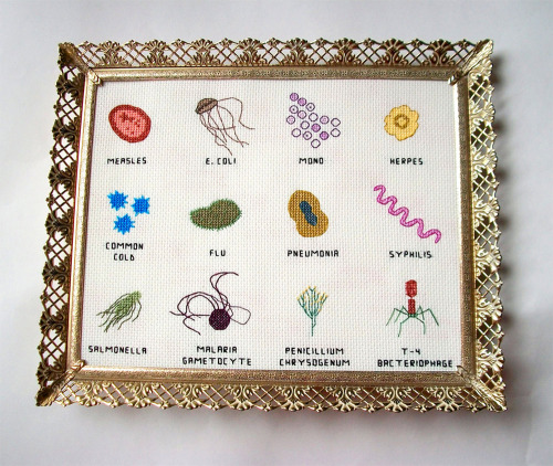 culturenlifestyle:  Adorable Cross-Stitched Illustrations of Microbes and Germs by Alicia Watkins Artist Alicia Watkins creates adorable cross-stiched illustrations of germs, microbes and other tiny pieces on her indie boutique Watty’s Wall Stuff