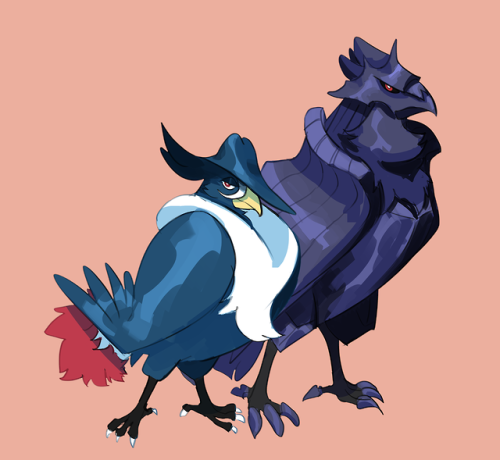 wheatskers:Eyezooms on Corviknight. Listen the crows are gay and dating