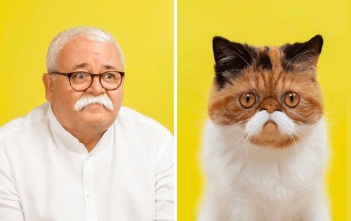 escapekit:Do You Look Like Your Cat? UK-based wildlife photographer Gerrard Gethings shares his second round of Do You Look Like Your Dog, this time feature cats and their owners.  Whether it was through the pose, the colour of their skin, the hairstyle