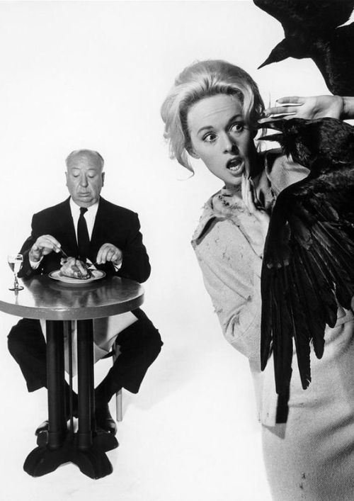 the birds (1963)