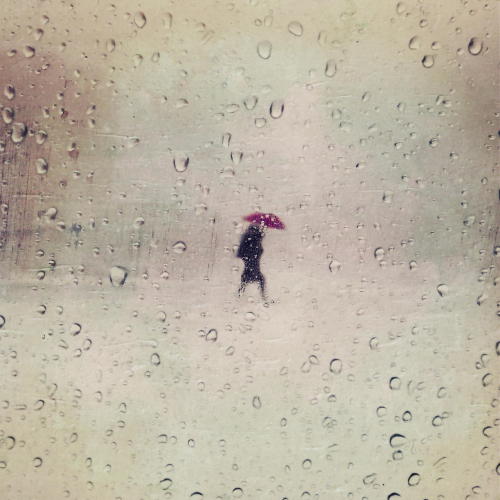 Audra by Sheldon Serkin