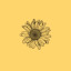 myflowerbed1-blog