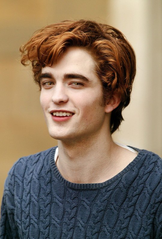 Twilight' Director Recalls Robert Pattinson Reading Negative Comments