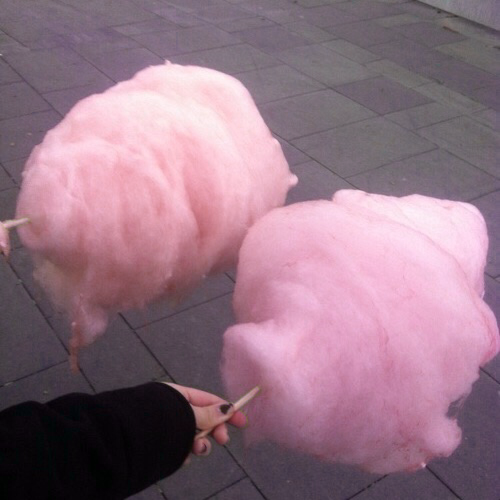 chestnut-pastel:  💕 