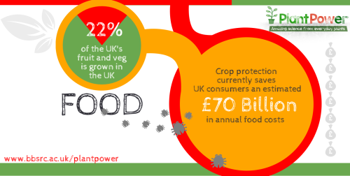 Plant powerHealthy plants, including crops and trees, are vital for our future. They are fundamental