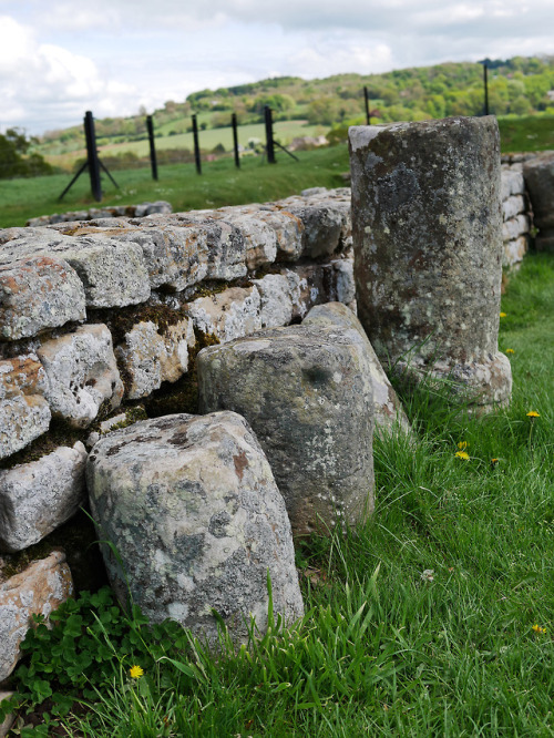 Barracks and Stables, Chesters Roman Fort, Hadrian’s Wall, 13.5.18.