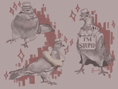 More Pigeon Nikolai Because He Is The Silliest Creature :D