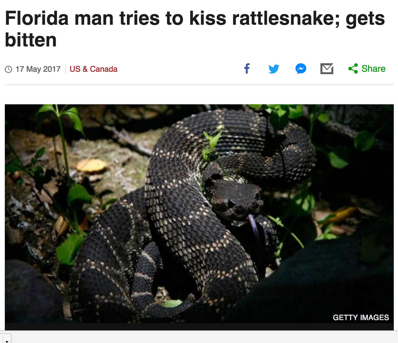 laurelhach:  yesterday in the adventures of Florida Man