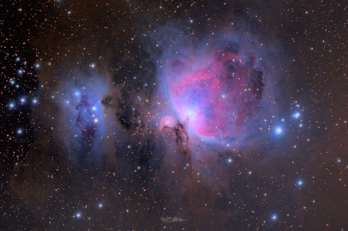 The Orion Nebula (M42, M43 and Sh279) by Will Milnerwebsite | facebook | twitter | instagram