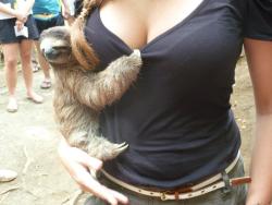 ronanstargazer:  Sloths, man.