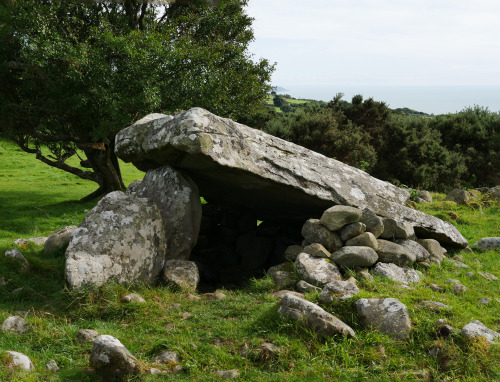 Cors y Gedol Burial Chamber, near Barmouth, North Wales, 13.8.16. This portal dolmen has an amazing 