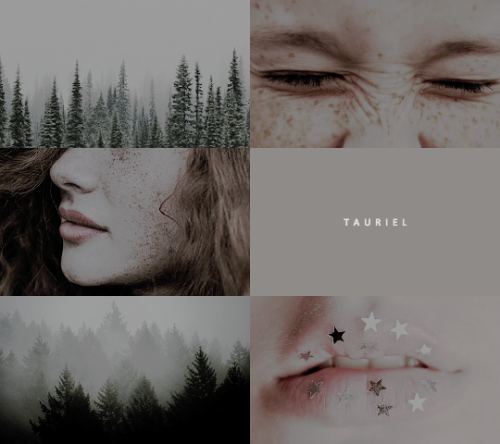 tartelperien:TOLKIEN AESTHETICS: arwen undómiel & tauriel