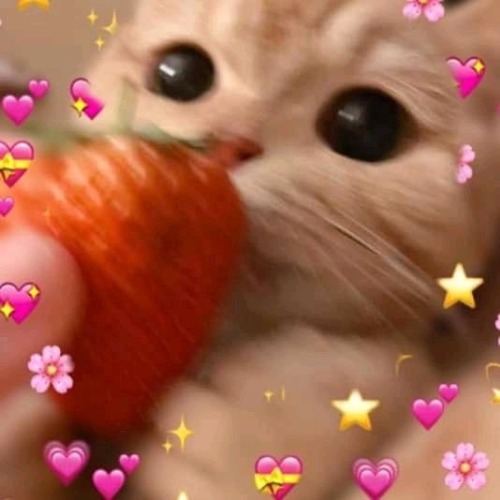 Ink !!! Ive Come To Wish You An Amazing Day Today, Seeing You Post More Of Your Art Makes Me So Happy.