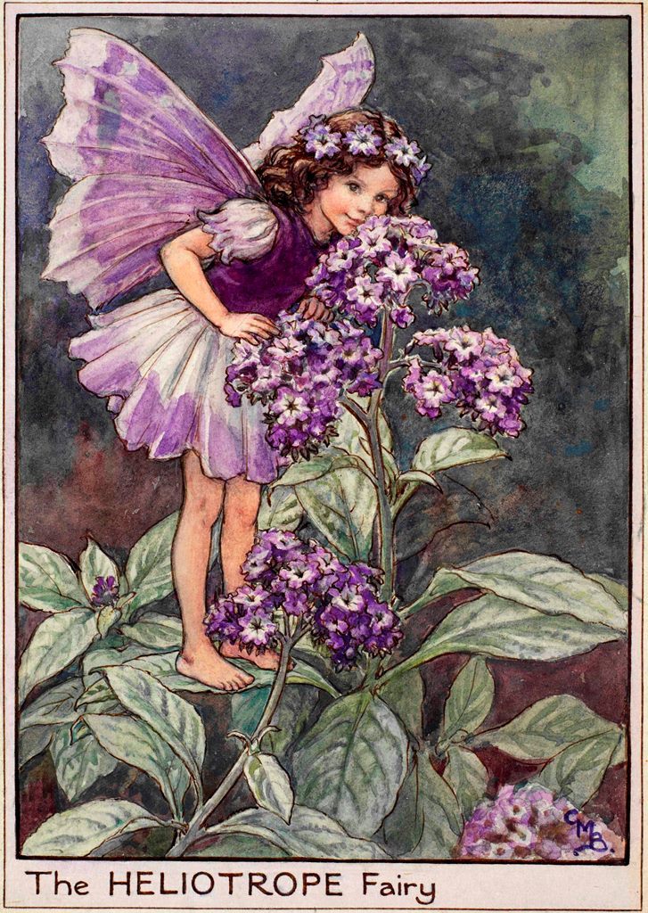 art-from-me-to-you:Cicely Mary Barker, Fairies of the Garden