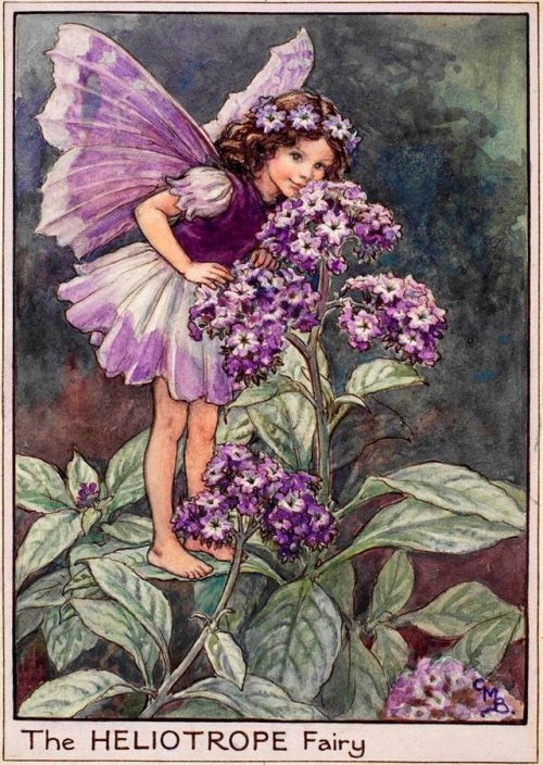 Porn art-from-me-to-you:Cicely Mary Barker, Fairies photos