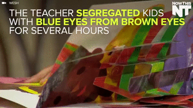 dynastylnoire:  syrupysweet:  dynastylnoire:  nvidel:  4mysquad:    The kids with blue eyes got hugs and toys, while the kids with brown eyes got nothing #Racism #America #WhiteSupremacy    So the teacher ran Jane Elliott’s “Blue Eyed Experiment”