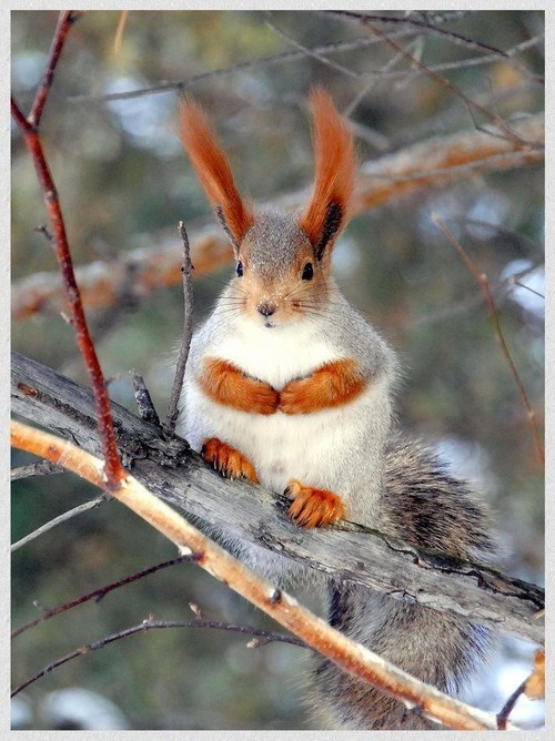 Sooo many squizles!!!!