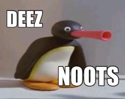 lolisarereligion:  You asked for noots, right?-