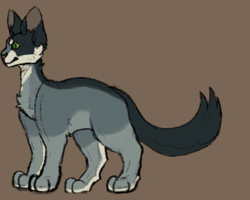 Doodled One Of My Favorite Clan Gen Clans, I Love TornClan So Much, Even If There's Only Four Of The