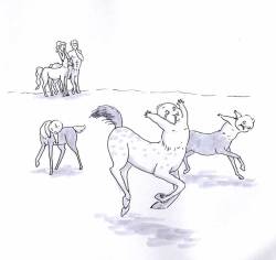 El problema con los centauros es que las crías de caballo pueden sostenerse en pie a las primeras horas de vida, en cambio un bebé humano apenas puede levantar la cabeza.