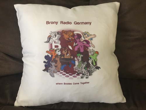 Got my Design for the Brony Radio Germany Meetup (which happened a few weeks ago) printed on different stuff and thought: “hey… something new to post” …and so I posted these pictures on Tumblr #StoryOfMyLife