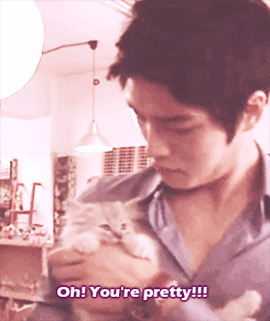 Cute bitch cat :(