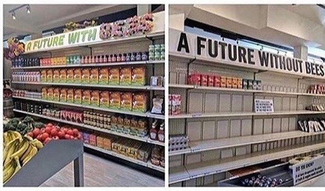 drawnillusions: Going into these last two episodes of Volume 5 like:  