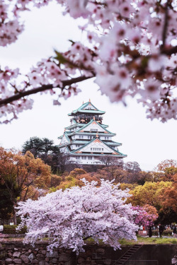 banshy: Osaka, Japan by Tim Gaweco