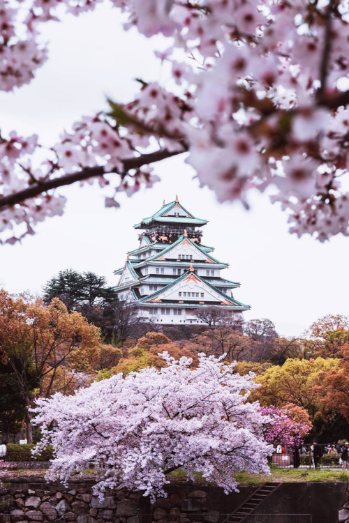 banshy:  Osaka, Japan by Tim Gaweco adult photos