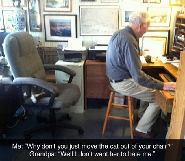phantomshaman:  The story of any cat owner’s life…  Uh yeah. The car was there