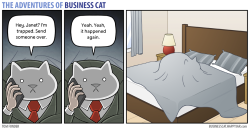 businesscatcomic:  (via Business Cat - Trapped) 