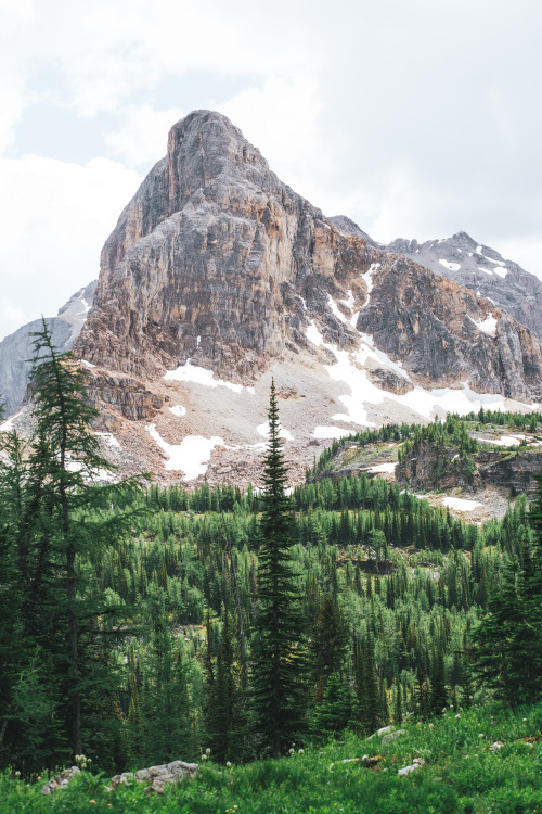 jaymegordon: Banff National Park ➾ Jayme Gordon  Check out my Instagram! @jayme_gordon