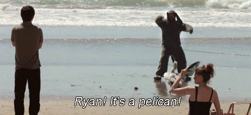 tangohooves:  I get excited over the stupidest things sometimes…. 